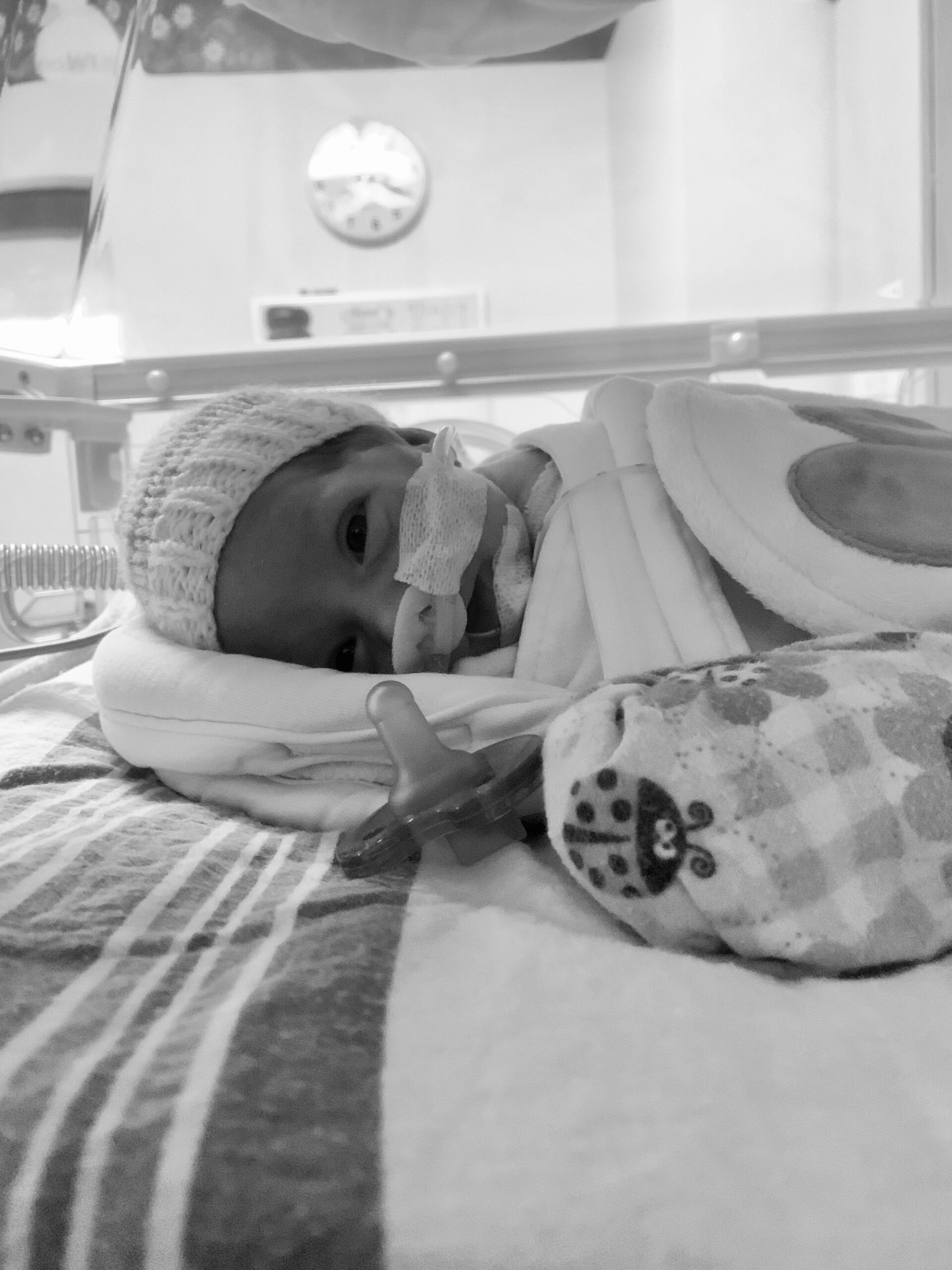 what-is-congenital-heart-disease-chd-the-heart-house